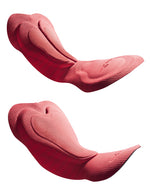 langify_image_container freeshipping - ApogeeSports