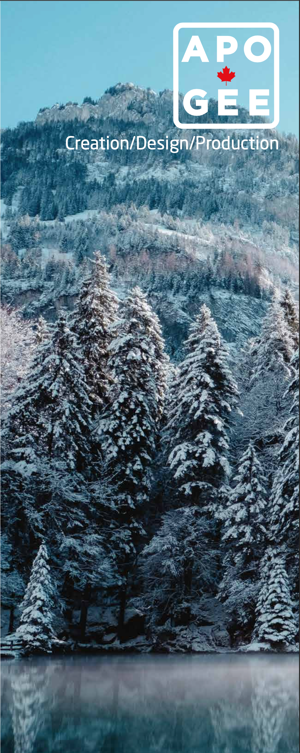 Ski de fond - Homme